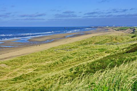 undefined, Hartlepool, County Durham, TS24