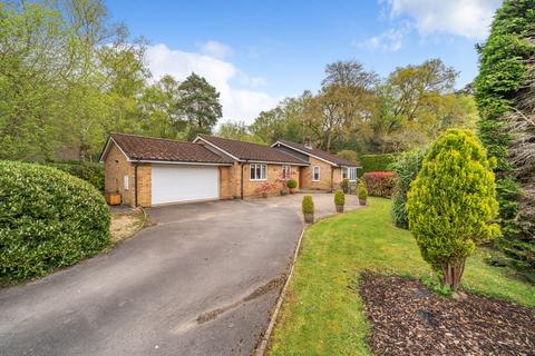 3 bedroom bungalow for sale, Pines Road, Liphook, Hampshire, GU30