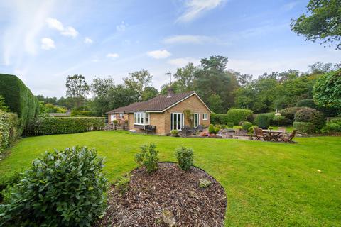 3 bedroom bungalow for sale, Pines Road, Liphook, Hampshire, GU30