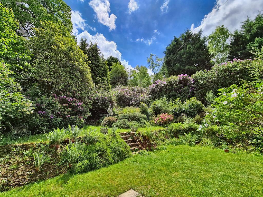 Garden 2