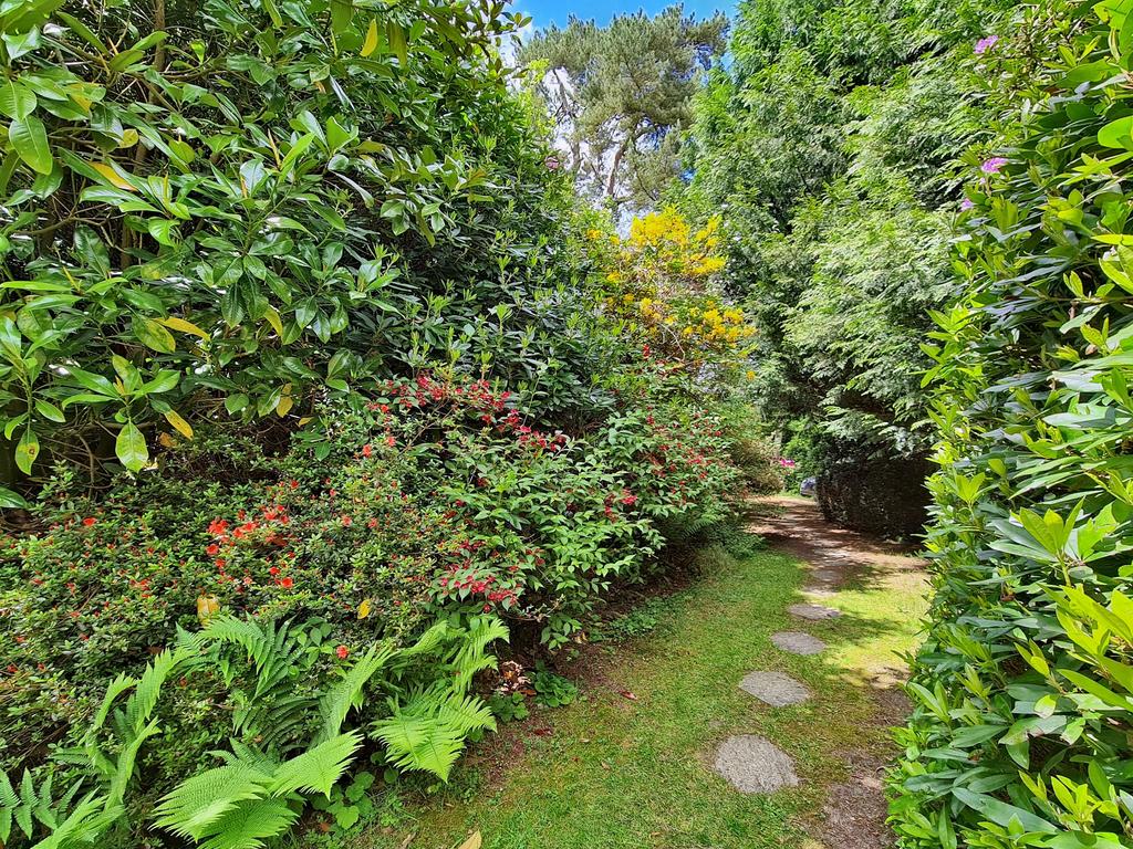 Garden 3