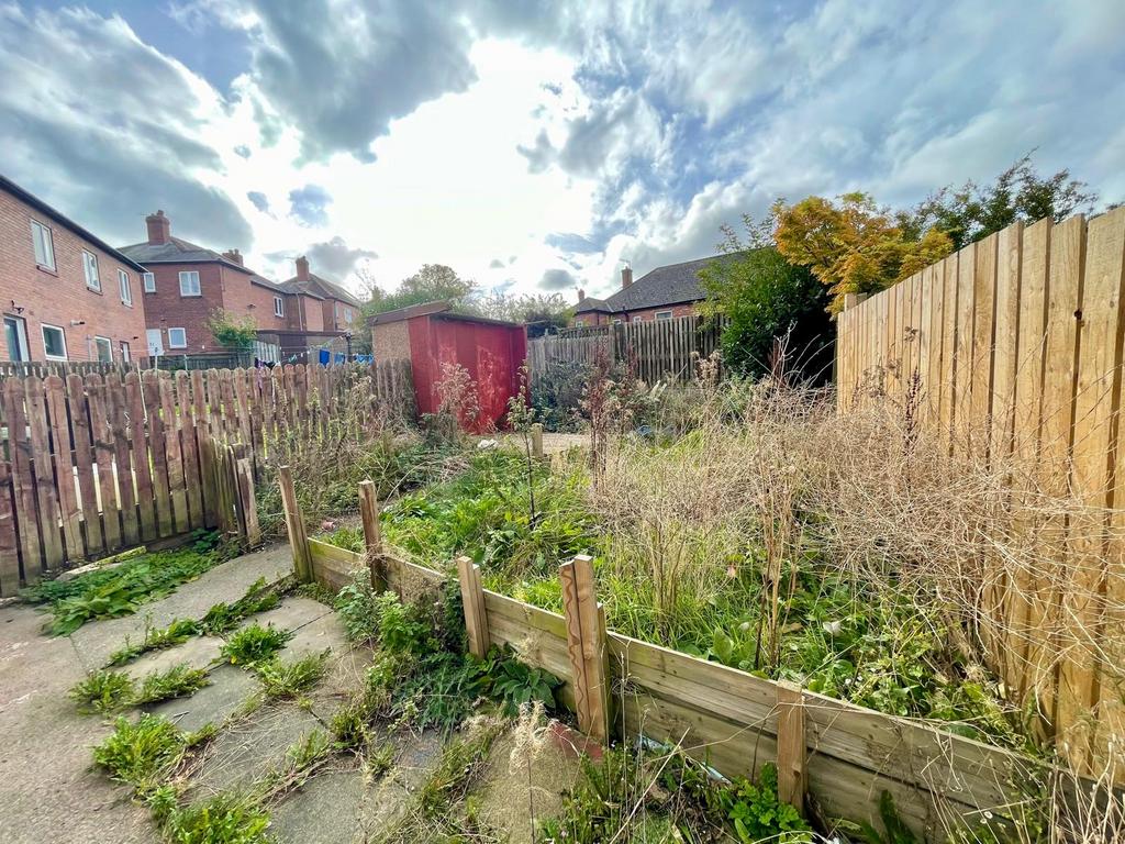 Back Garden