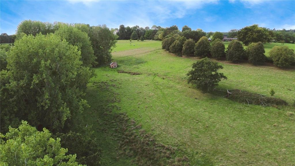 Adjacent Farmland