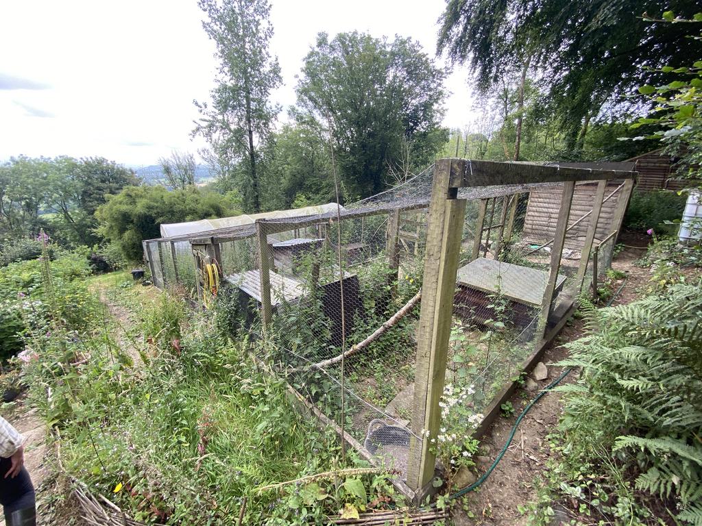 Large poultry enclosure