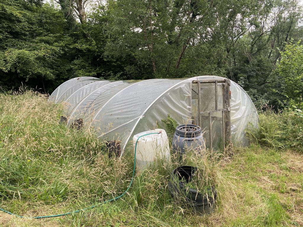 Poly tunnel