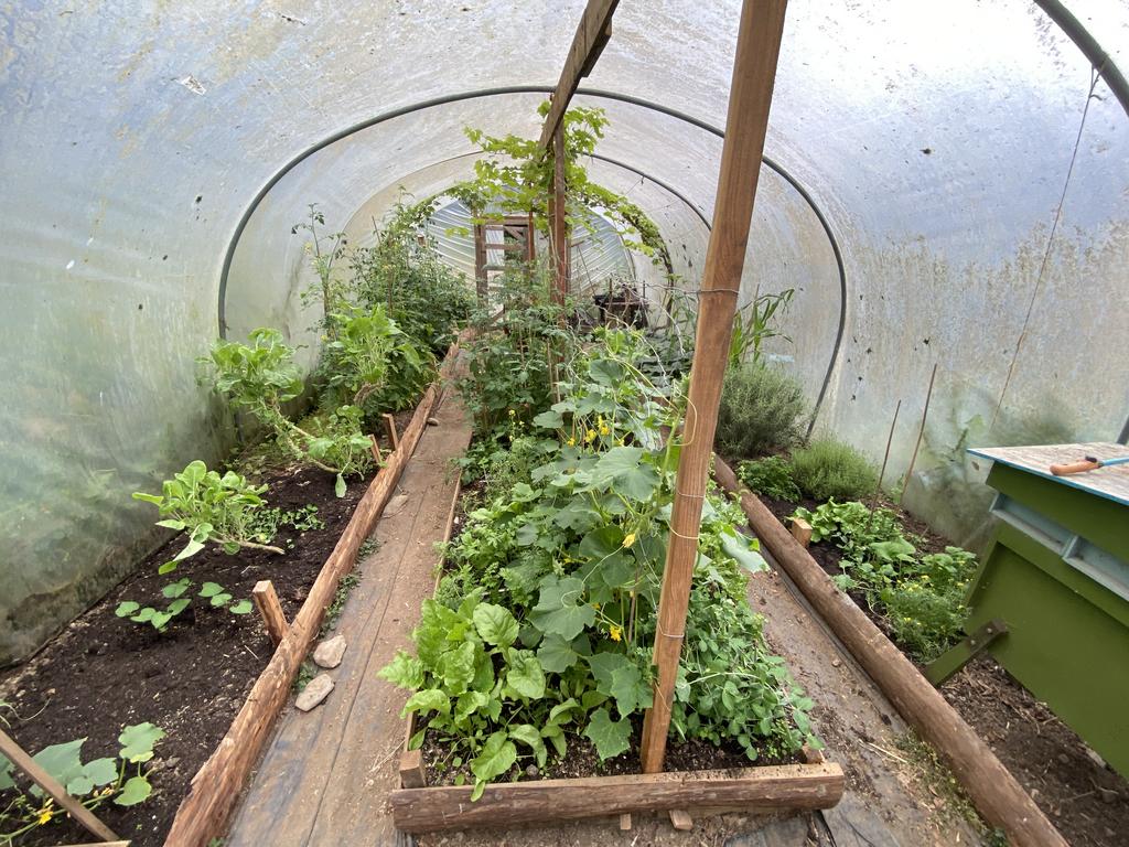 Productive poly tunnel