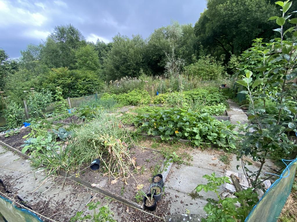 Cottage garden area