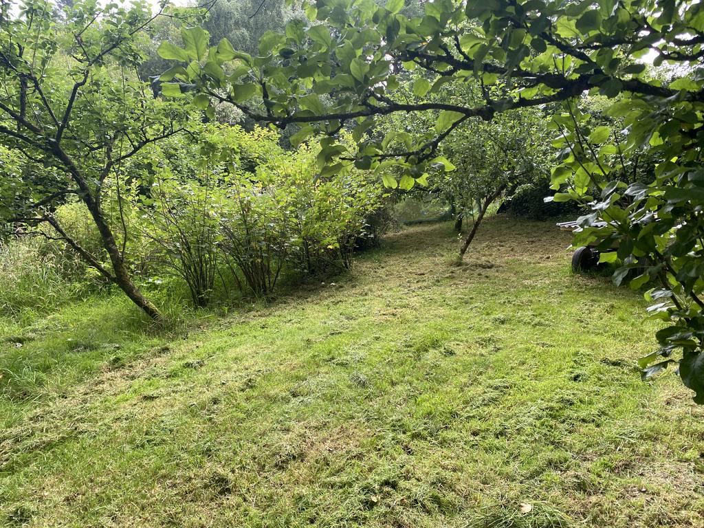 Further fruit trees