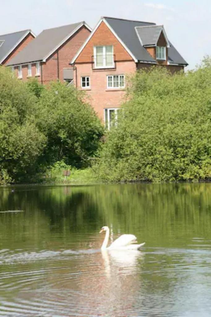 View to house from lake potrait.png