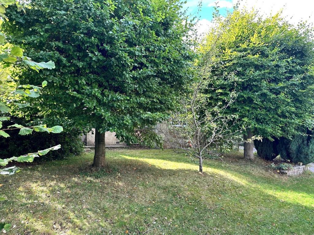 Garden.jpg