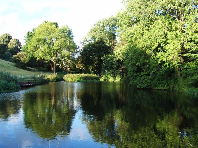 Sneyd Park&#39;s Nature