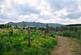 Additional image 14 of Logie Woodlands, Pitcaple, Inverurie, Aberdeenshire, AB51