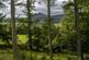 Additional image 13 of Logie Woodlands, Pitcaple, Inverurie, Aberdeenshire, AB51