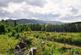 Additional image 15 of Logie Woodlands, Pitcaple, Inverurie, Aberdeenshire, AB51
