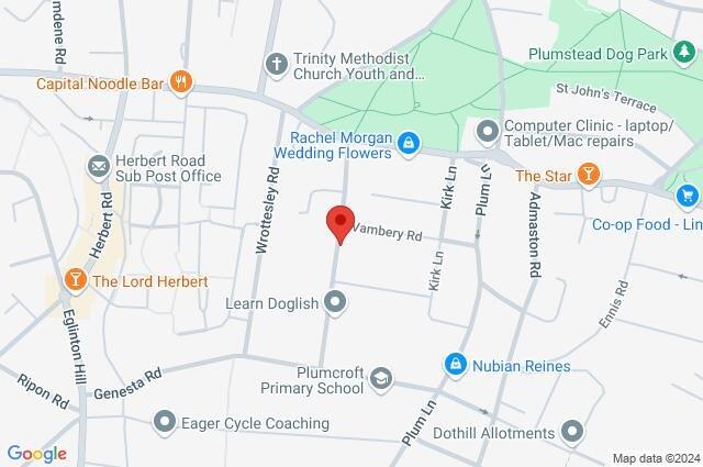 Google Maps Image