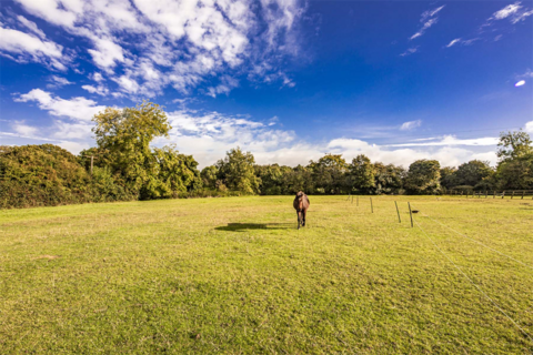 3 bedroom detached house for sale, The Willows, Checkendon, RG8