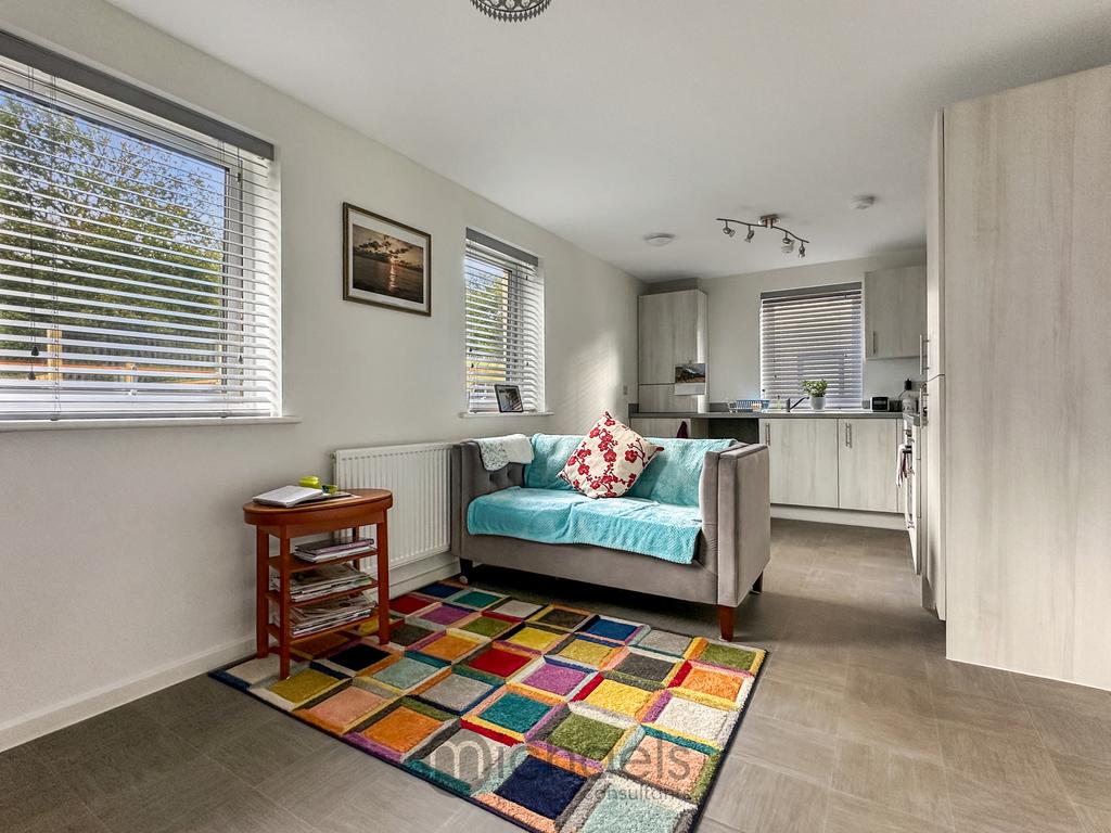 Living Room/Kitchen Area