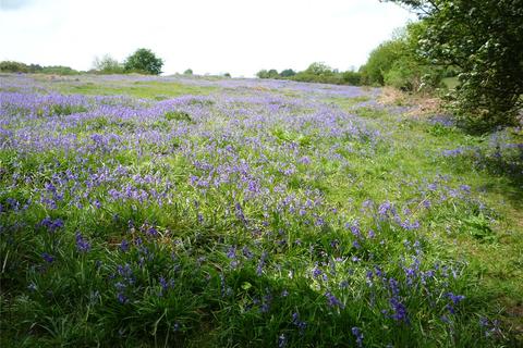 Equestrian property for sale, Western Lane, East Harptree, Bristol, Somerset, BS40