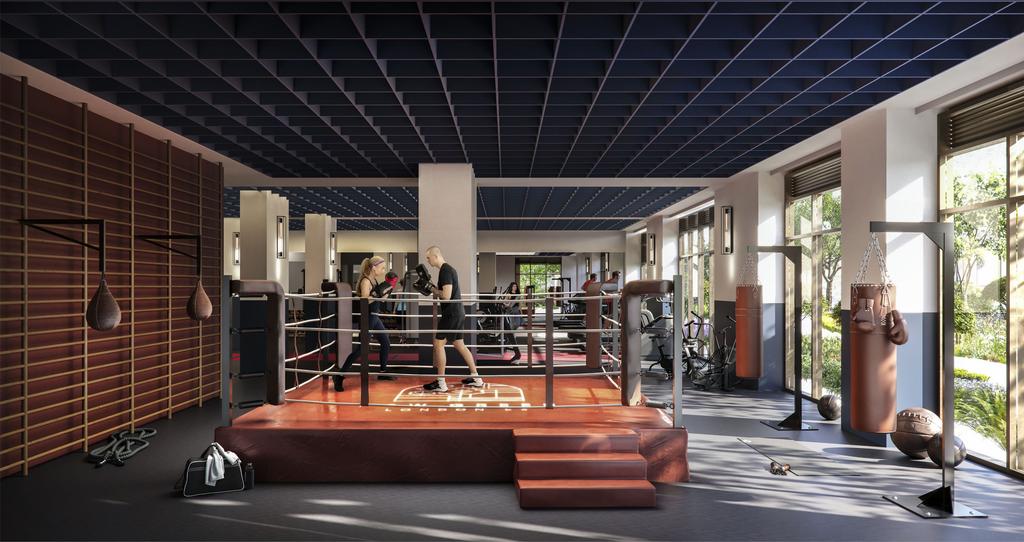 Gym &amp; Boxing Ring