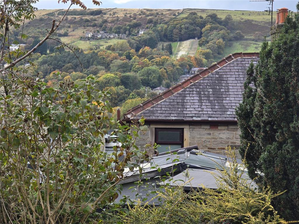 View Of Cribden Hill