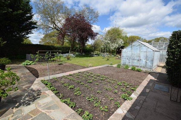 Vegetable garden