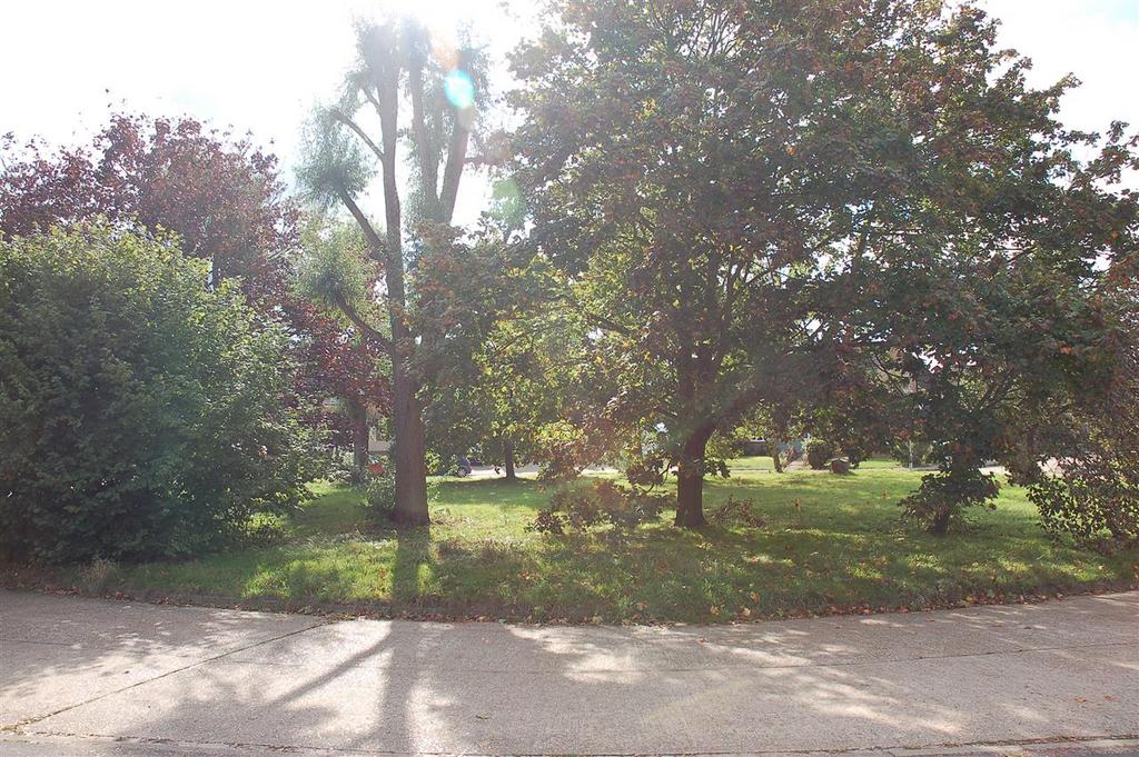 View to the front