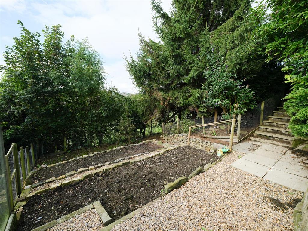 Veg plot