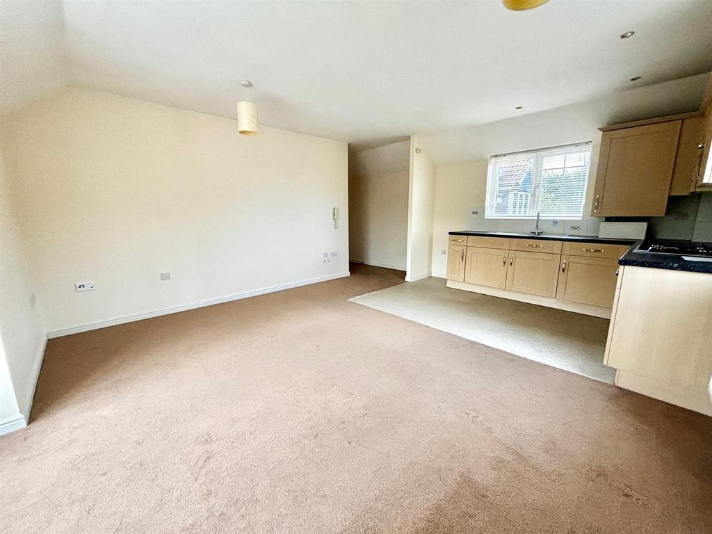 Kitchen/Lounge/Dining area