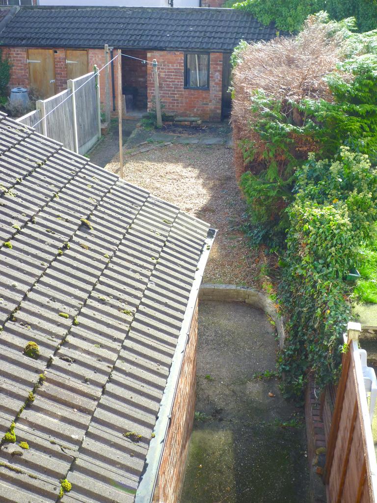 Rear Garden area
