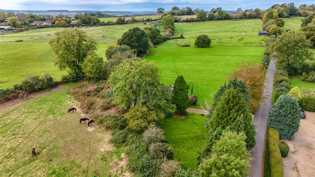 Dji fly 20241011 130612 0692 1728648497537 photo.J