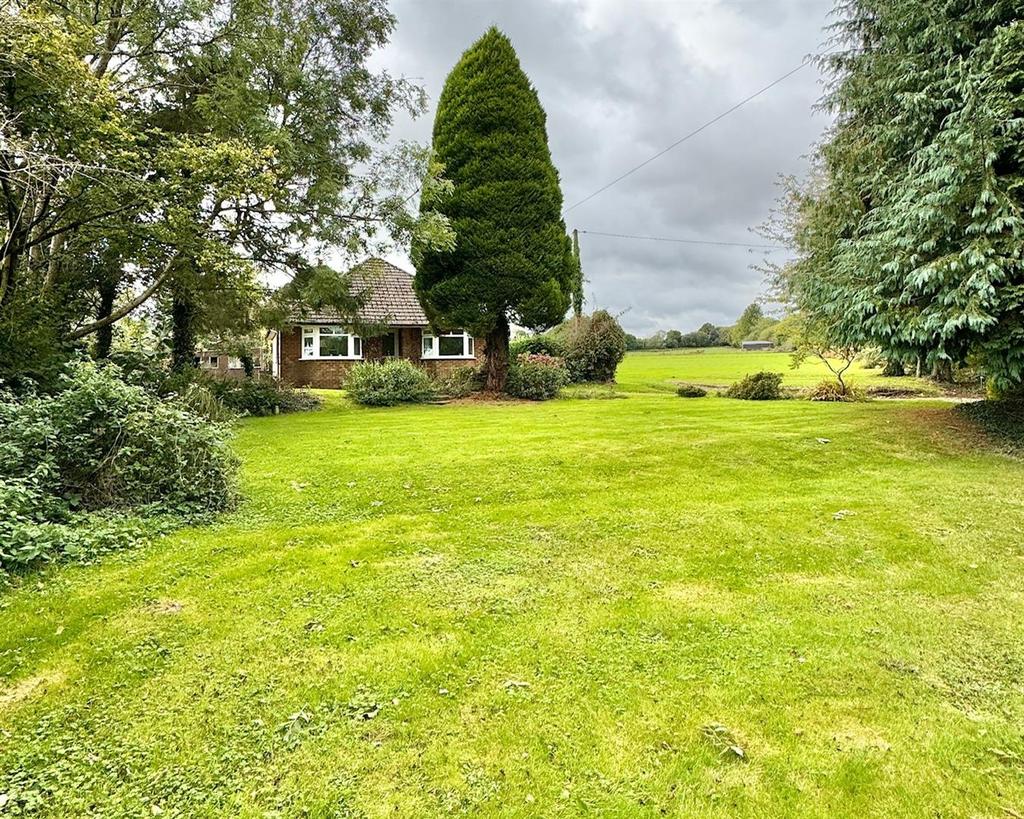 Front garden.jpg