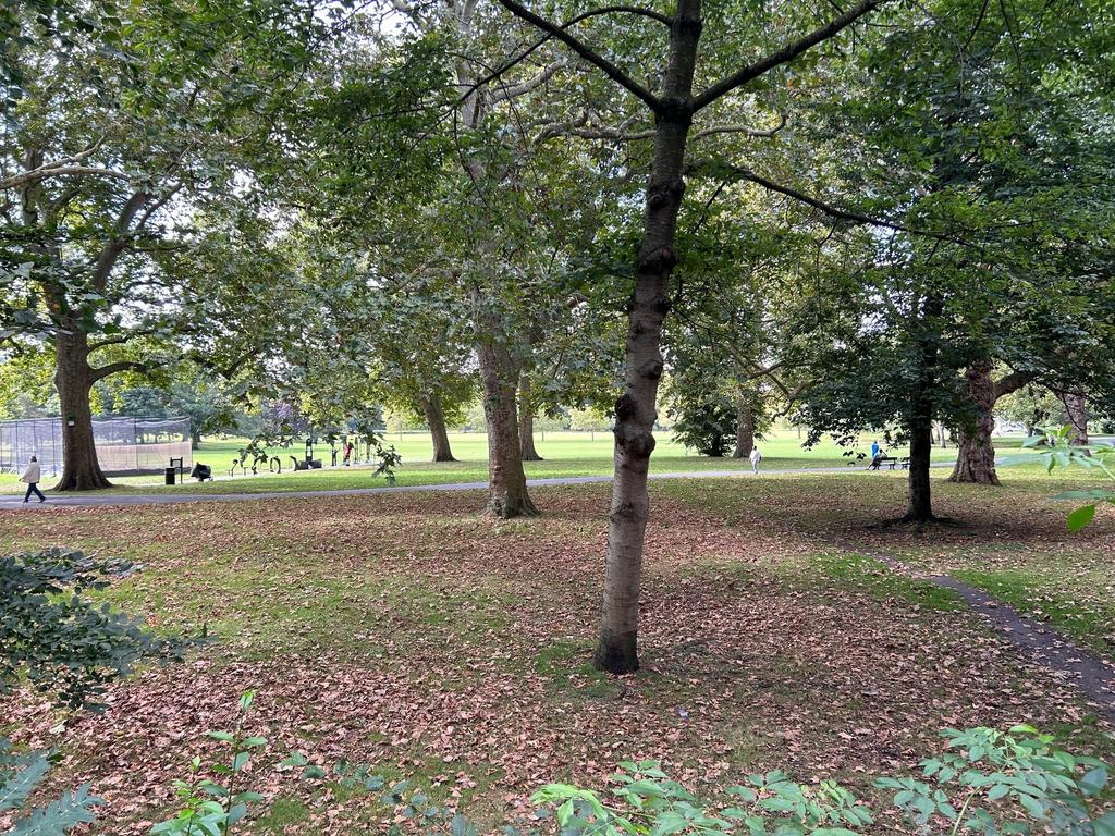 Image 16 jpg