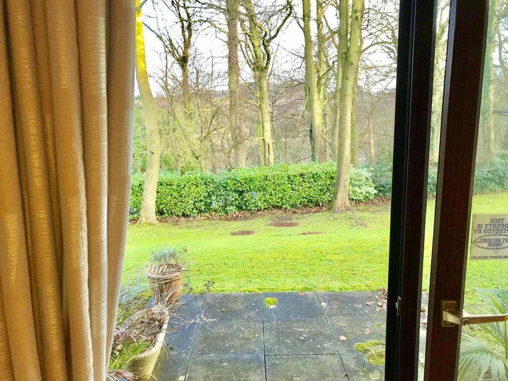Patio Area
