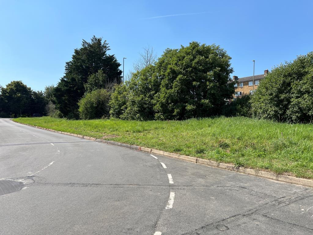 Grass plot with mature trees on boundary