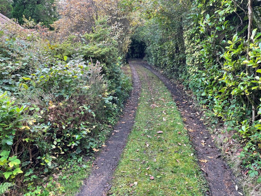 Driveway