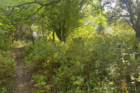 Land for sale, Woodland Adjacent R M D House, United Downs Industrial Park, St. Day, Redruth, Cornwall