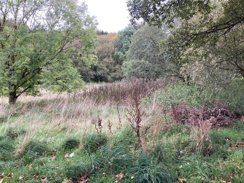 View on to the land from Hillview Skelmorlie