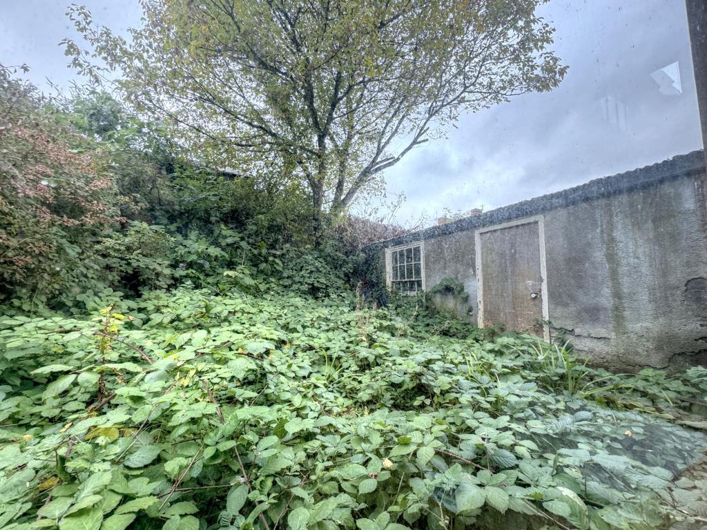 Garden Area