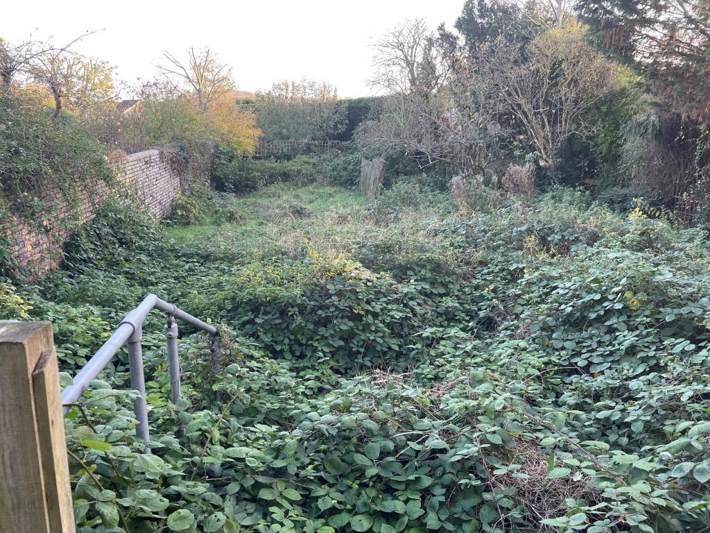 Historic photo of overgrown rear garden with view