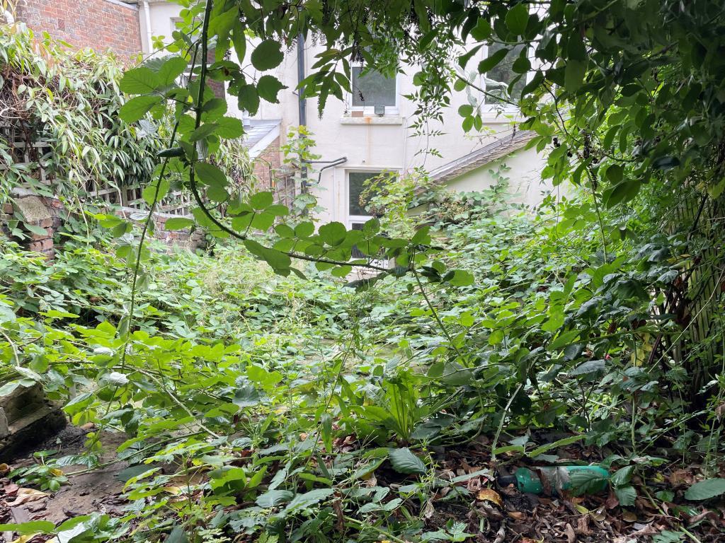 Tiered overgrown rear garden