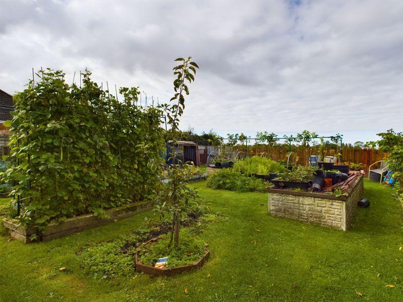 Vegetable Garden