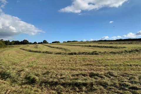 Land for sale, Coldridge, Tiverton