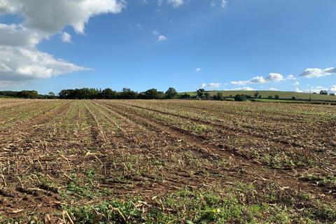 Land for sale, Coldridge, Tiverton