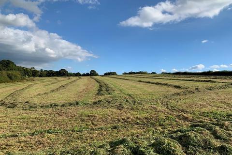 Land for sale, Coldridge, Tiverton