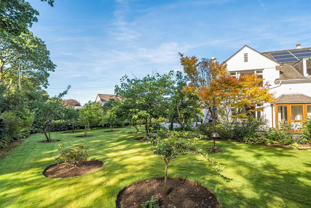 Front Garden
