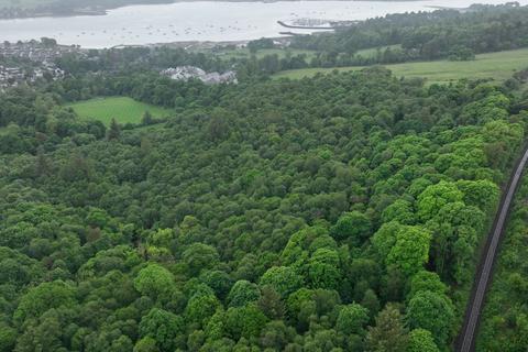 Woodland for sale, Duchess Woods, Rhu G84