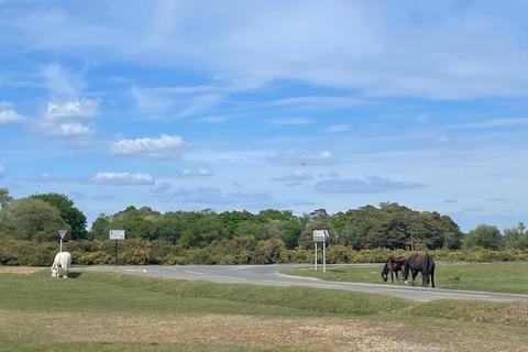 undefined, Exbury Road, Beaulieu, Brockenhurst, SO42
