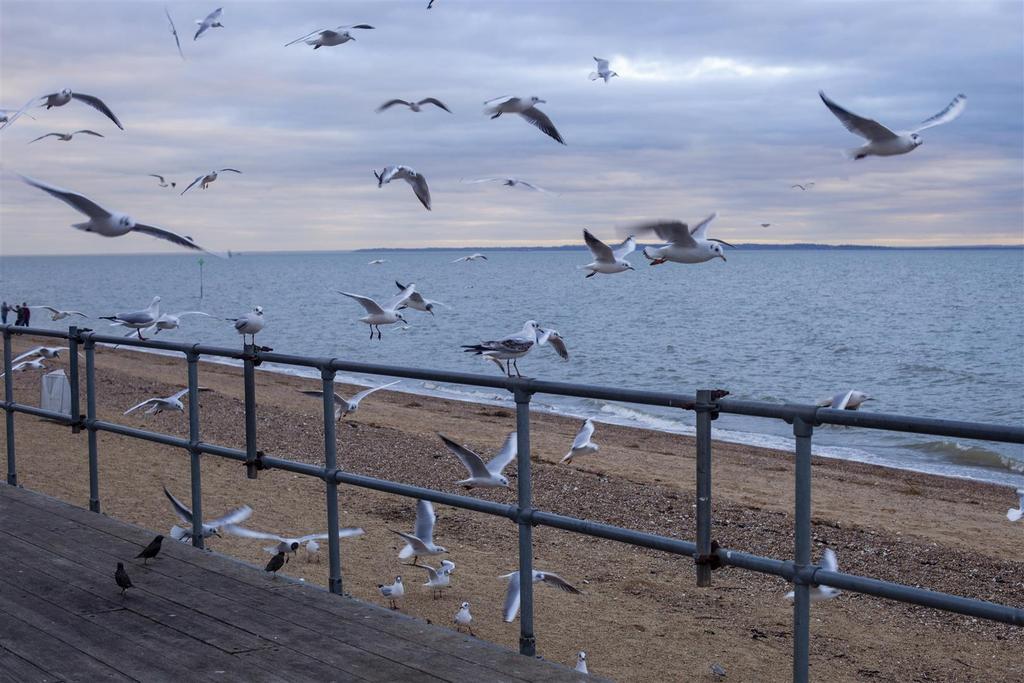 Southend Seafront