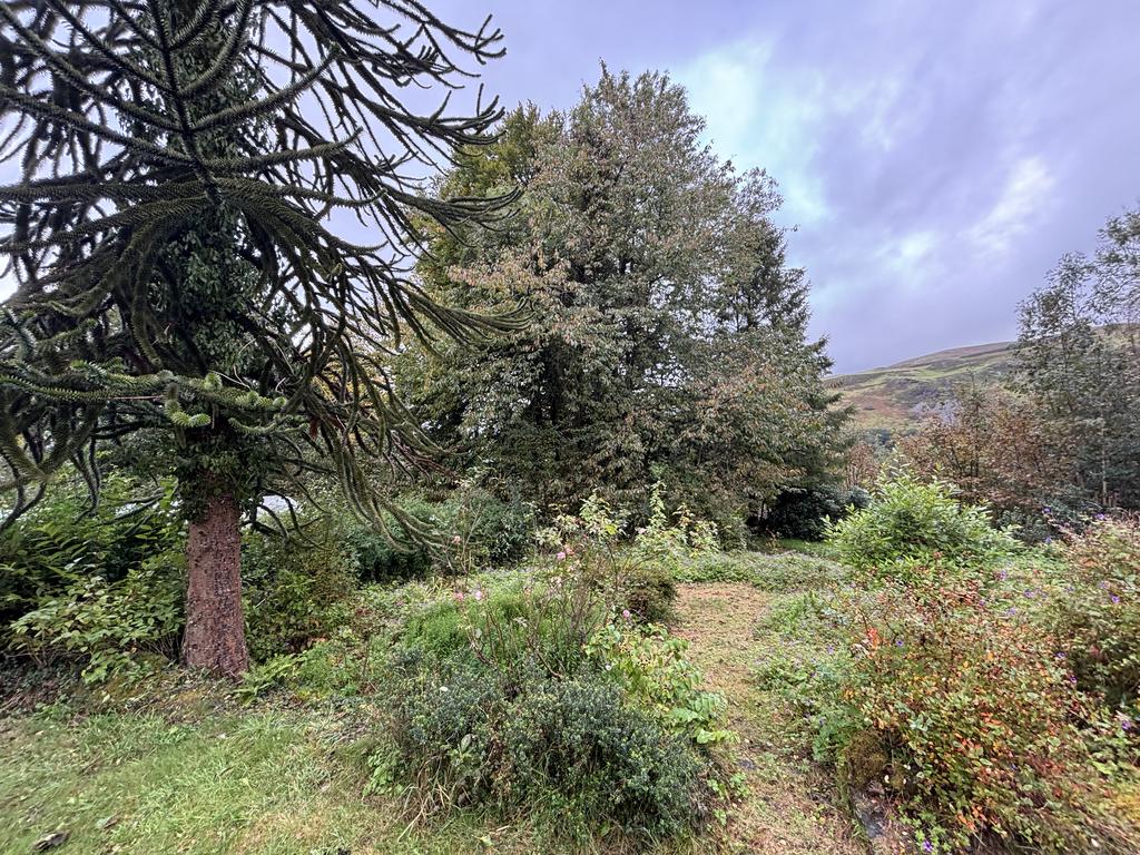Front garden (second image)