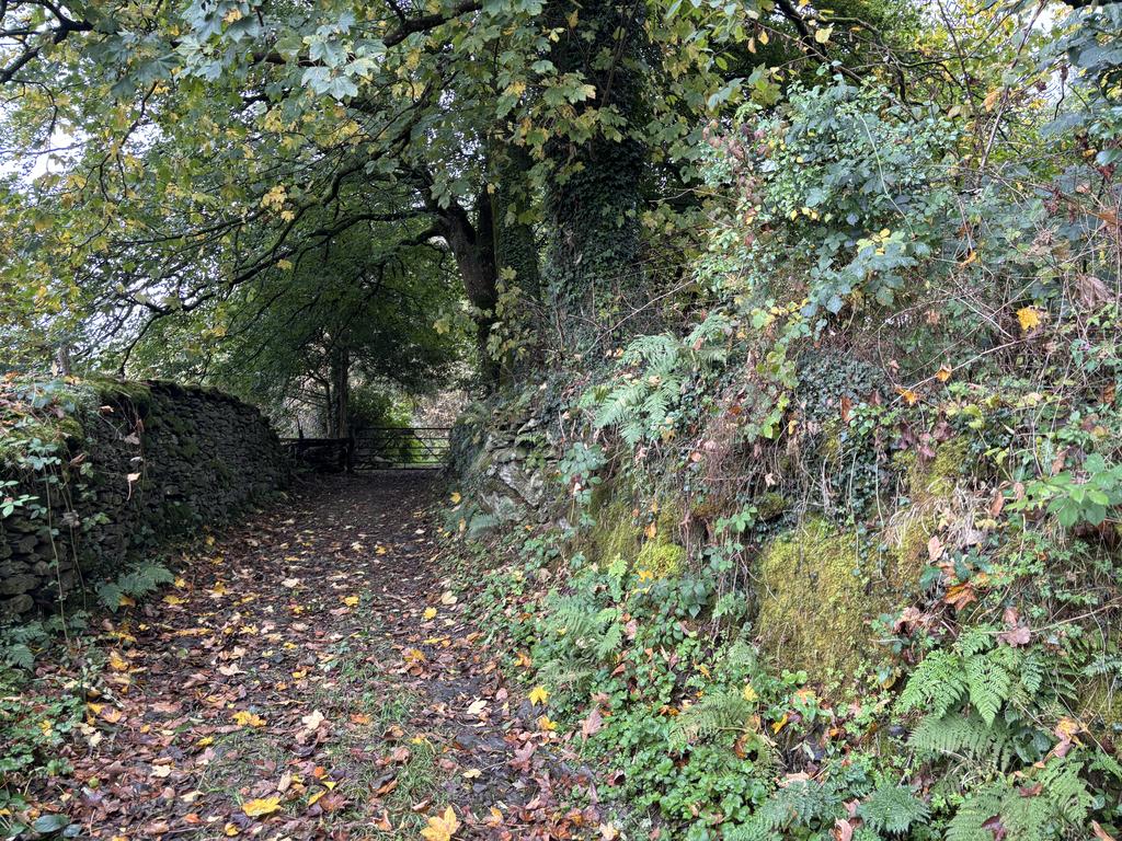 Driveway (second image)